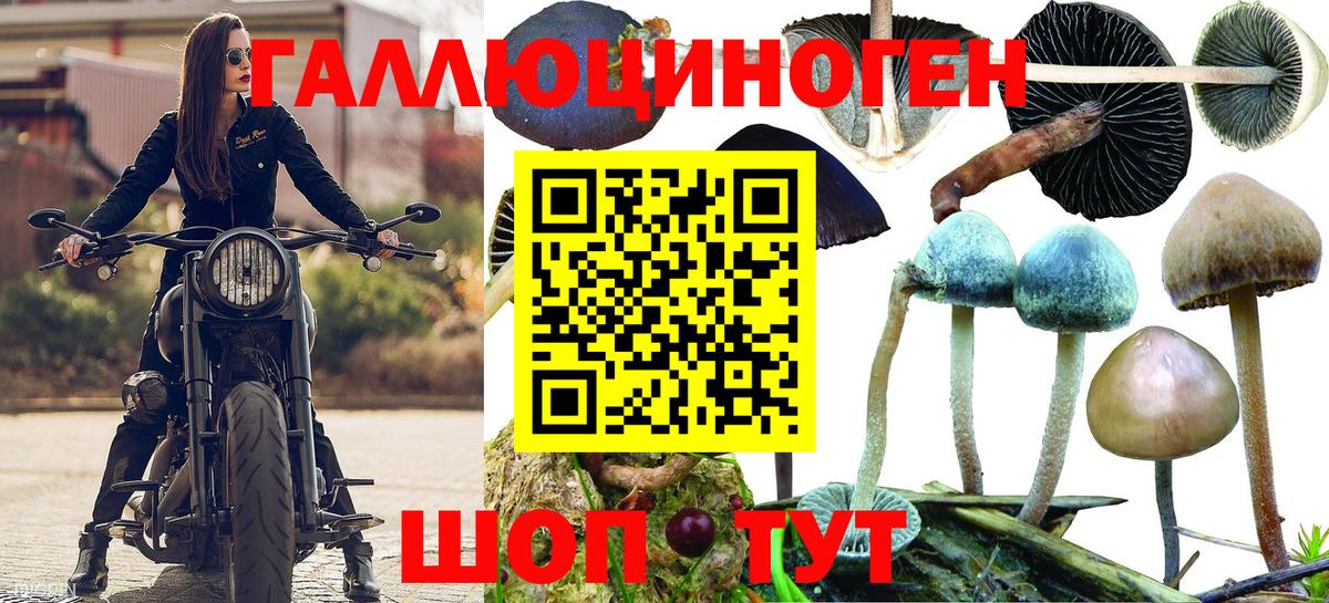 наркота  Вход с VPN  Евпатория  Галлюциногенные грибы GOLDEN TEACHER 
